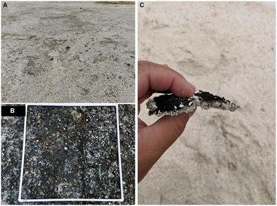 Biocrust reduces the soil erodibility of coral calcareous sand by regulating microbial community and extracellular polymeric substances on tropical coral island, South China Sea